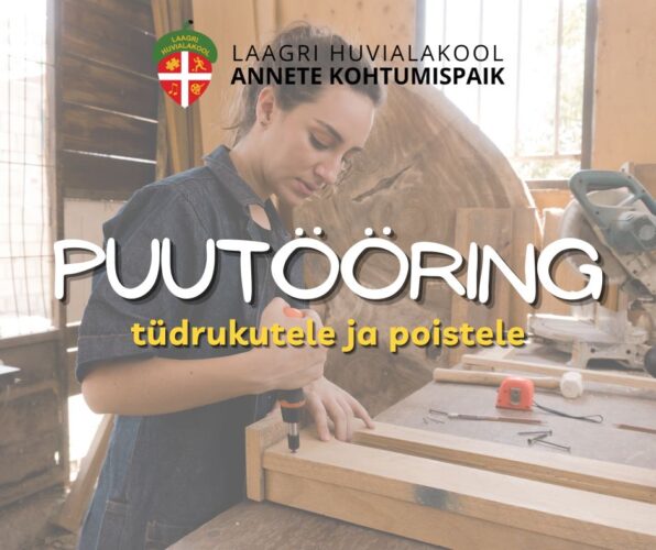Read more about the article Puutööring tüdrukutele ja poistele